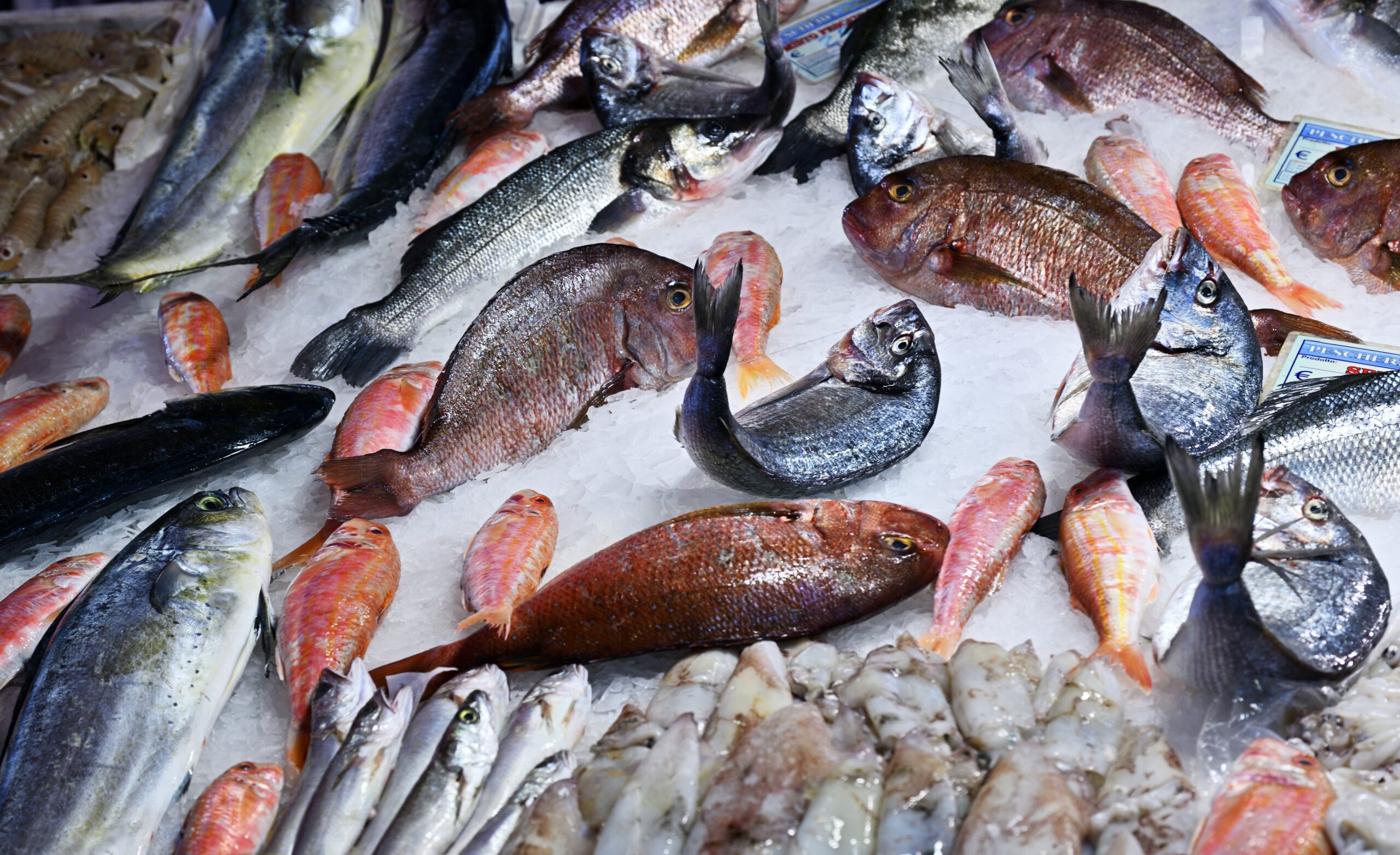 Stall,With,Assorted,Fresh,Seafood,At,Famous,Market,Ballaro,,Palermo, Lebensmittelvergiftung_Fische